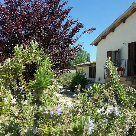 La Torretta Bed & Breakfast