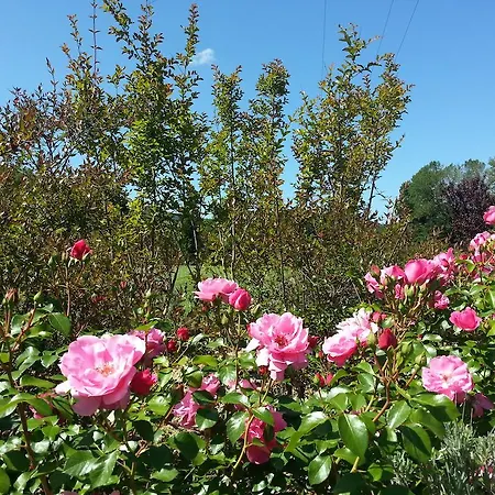 Bed & Breakfast La Torretta