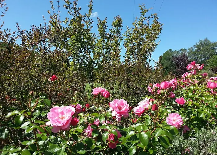 Bed & Breakfast La Torretta